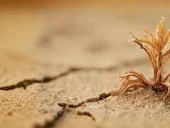 Terror en el mundo científico | Reviven microbios congelados hace 40.000 años y devoran un elemento esencial para la vida