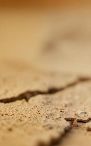 Terror en el mundo científico | Reviven microbios congelados hace 40.000 años y devoran un elemento esencial para la vida