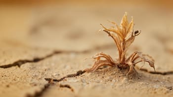 Terror en el mundo científico | Reviven microbios congelados hace 40.000 años y devoran un elemento esencial para la vida