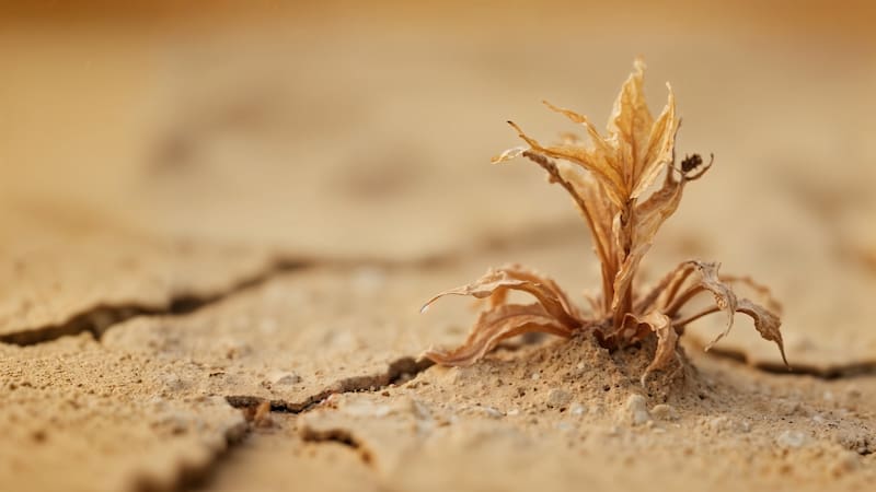 Terror en el mundo científico | Reviven microbios congelados hace 40.000 años y devoran un elemento esencial para la vida.