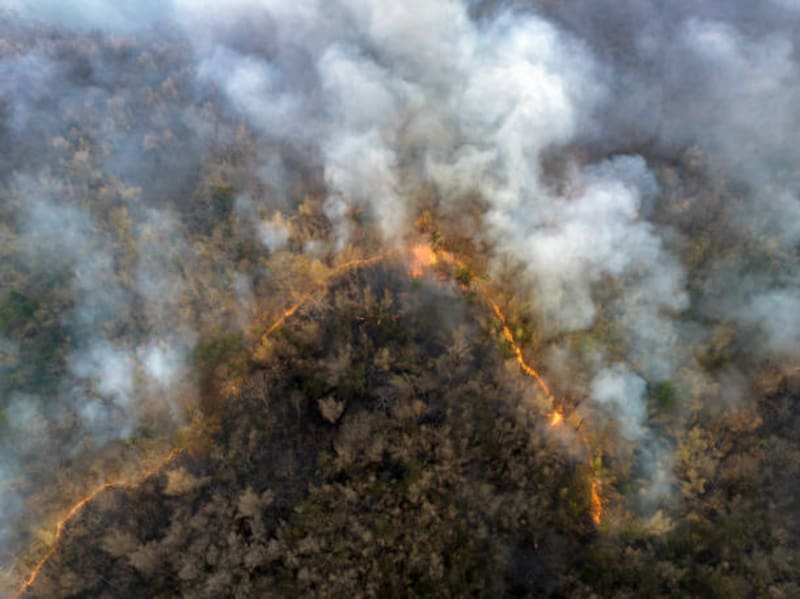Elon Musk advierte: la próxima crisis será por un recurso más vital que el agua. (foto: archivo).