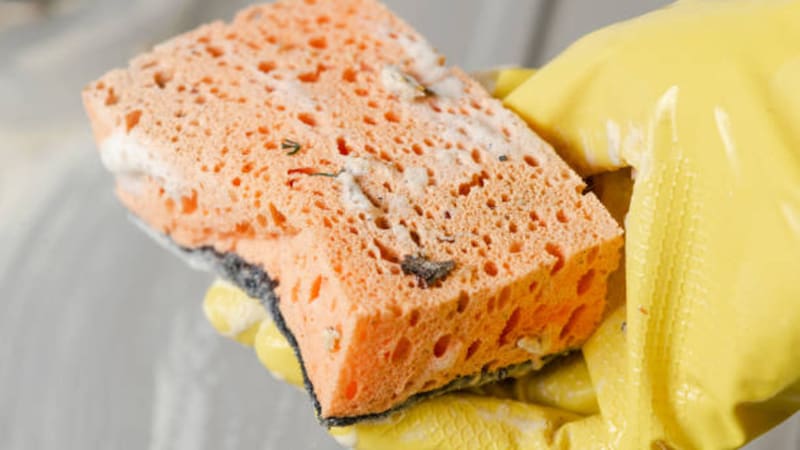 La esponja de cocina debe cambiarse con frecuencia.