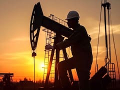 Piden quitarle tres áreas petroleras al Grupo Neuss en Santa Cruz