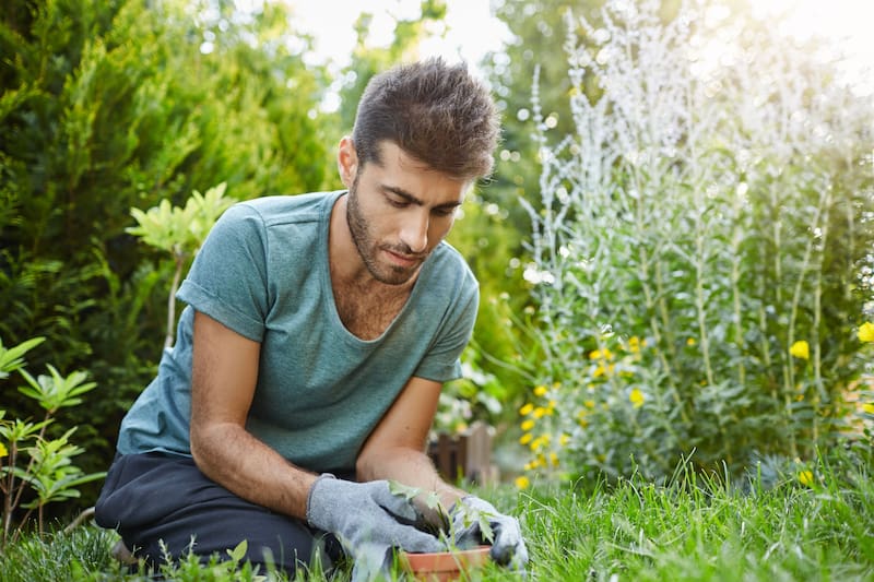 Tareas de jardinería y cuidado de animales: algunas de las actividades que piden a cambio de alojamiento y comida todos los días. (Fuente: Freepik)