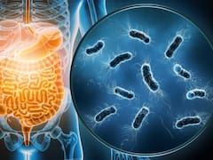 No todas las bacterias y microbios enferman: por qué la mayoría son aliados clave para la salud