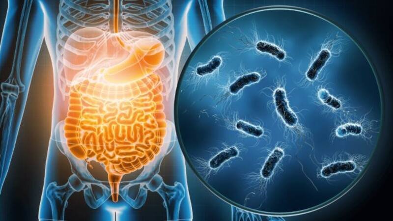 Se disparan las infecciones por la bacteria "devora carne". (Fuente: Archivo)