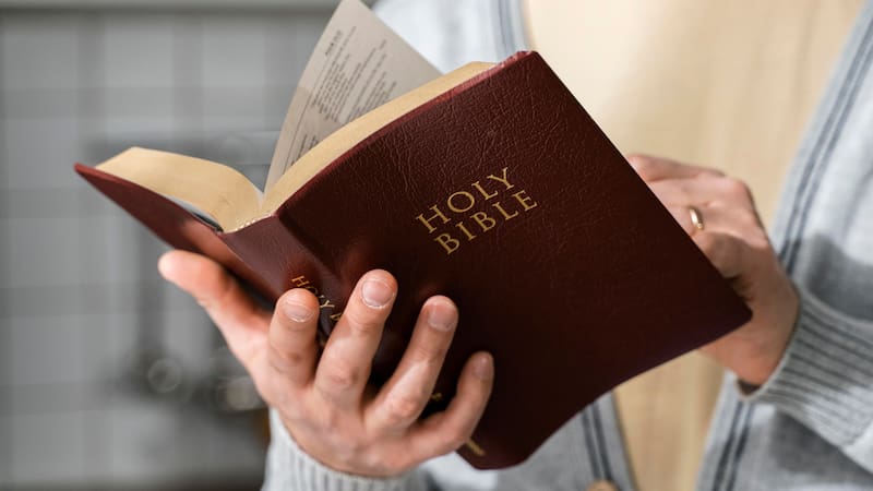 Cómo se llamaba a Gaza en el Antiguo Testamento y dónde vivían los palestinos según la Biblia. (Imagen: archivo)