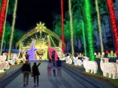Alumbrado navideño en el Jardín Botánico de Bogotá 2025: ¿cuándo comienza, cuál es el horario y dónde se pueden ver las luces?