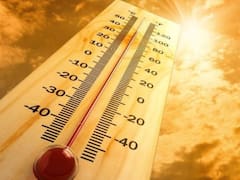Llega una fuerte ola de calor con temperaturas extremadamente críticas y vientos calientes: habrá que cancelar eventos al aire libre y recomiendan no salir de las casas