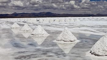 La apuesta de China por Argentina: cuál es el sector donde concentra el 72% de las inversiones del RIGI