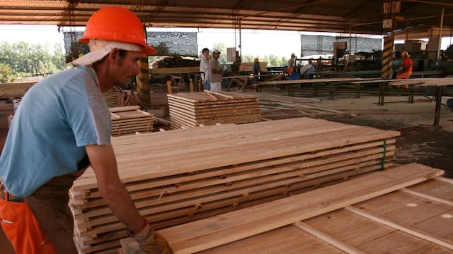 Empresa invertirá US$250 millones en una planta de procesamiento de pino en Rivera