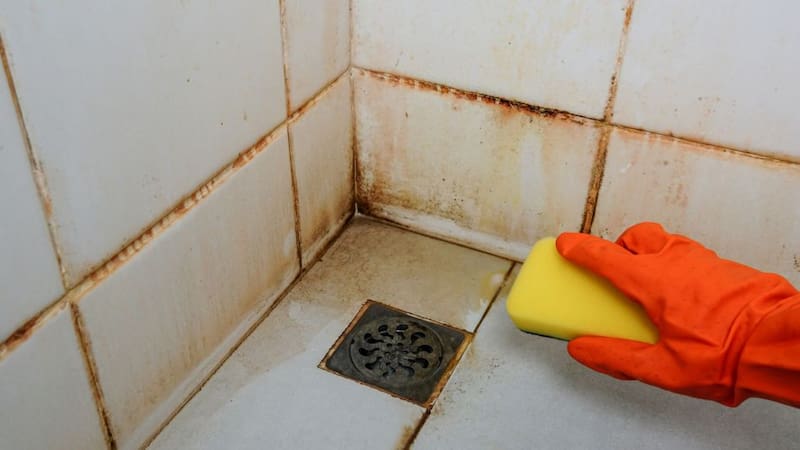 La limpieza de la ducha es fundamental, ya que, al estar en contacto constante con el agua y la humedad, puede formarse moho en las esquinas y entre los azulejos de la pared. (Imagen: archivo)