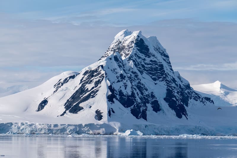 Descubrimiento del siglo | Hallan en la Antártida criaturas marinas nunca antes vistas que podrían reescribir la historia de la biología. (Imagen: Shutterstock).