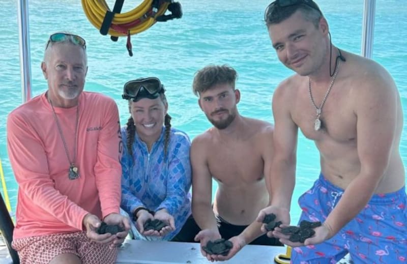 Buceadores descubren un coloso dormido: el hallazgo en el lecho marino que podría transformar la historia.