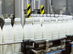 Fracasó el plan de emergencia y una de las lácteas más históricas pidió su concurso preventivo