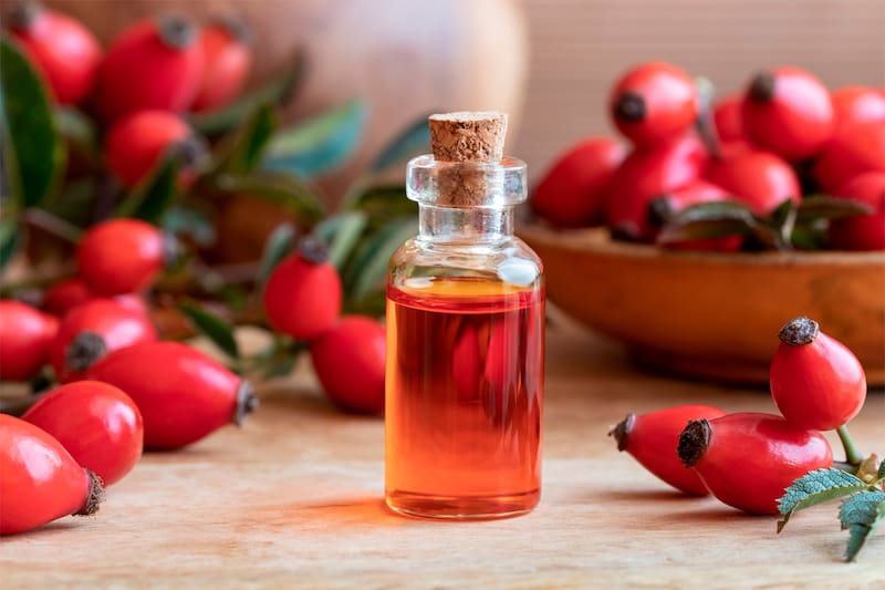 La Rosa mosqueta ha sido reconocida por sus propiedades medicinales y su importancia en la herbolaria tradicional. (Foto: Freepik)