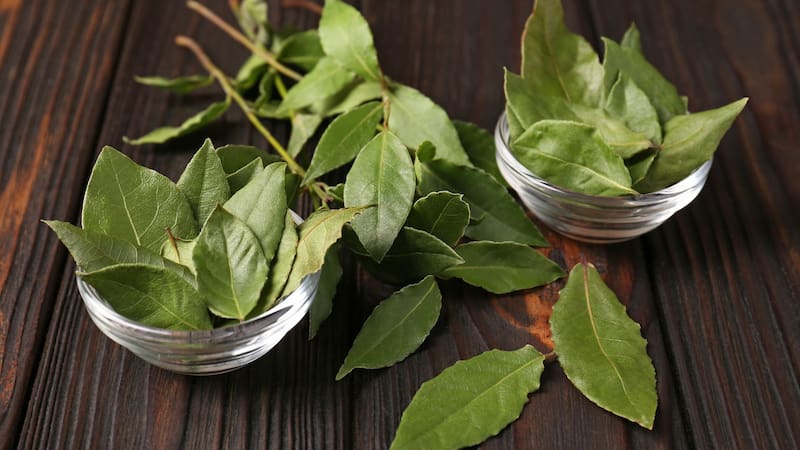 Aplicar hojas de laurel para atraer la buena suerte. (Fuente: archivo).