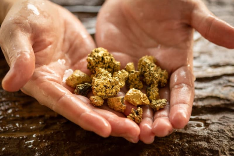 Descubren cómo cultivar oro. Fuente: archivo