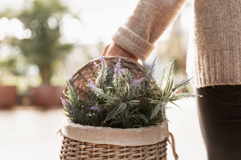 Es tendencia | Para qué sirve poner un frasco de arroz con lavanda en el interior de la casa y por qué lo recomiendan (Foto: Freepik.es)