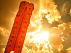 Alarma total por calor: advierten que lo que viene en los próximos días será más extremo que la peor canícula de la historia