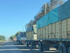 Aluvión de granos: pese al retraso de la cosecha, el ingreso de camiones toca un récord en el Gran Rosario