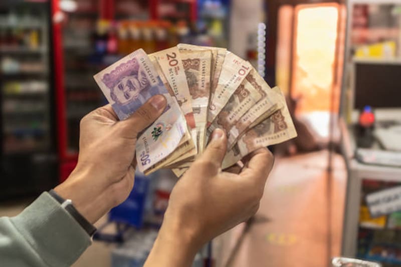 Uno de los programas destacados es Renta Ciudadana, que ofrece hasta 500.000 pesos por ciclo a hogares que cumplan ciertos criterios de vulnerabilidad socioeconómica. (Imagen: archivo)