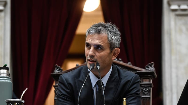 Martín Menem. (Fuente: archivo)