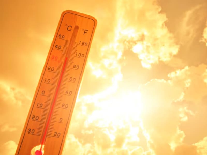 El Sáhara llegó a 70 °C, murieron miles de millones de árboles y abejas pero una técnica detuvo la extinción de la vida en el desierto. (Foto: Freepik).