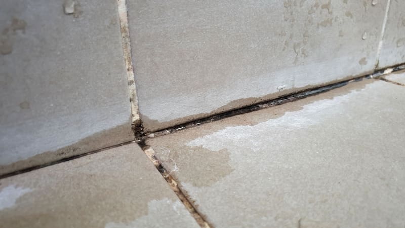 No es bicarbonato: el ingrediente de limpieza más eficaz para eliminar el moho de la ducha. (Imagen: archivo)