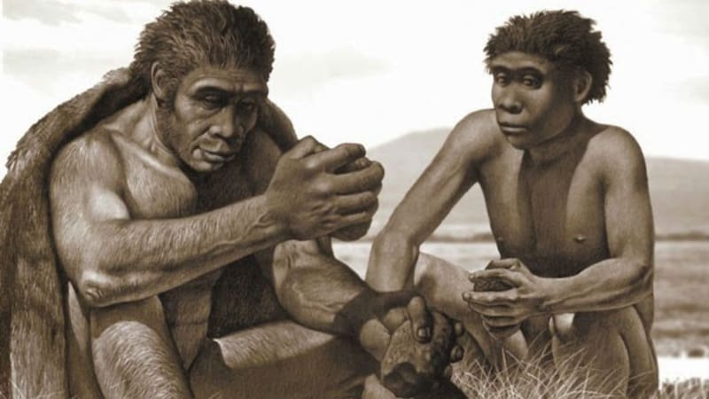 ¿Qué fue descubierto en el yacimiento?