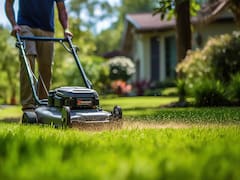Should you lower your lawn mower in the fall? The answer depends on your grass