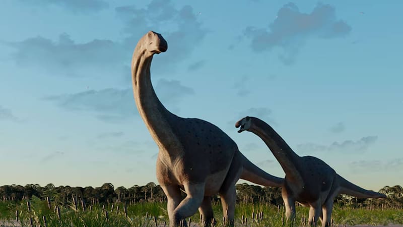 El hallazgo cambia lo que se creía de la alimentación de los dinosaurios herbívoros. Fuente: archivo.