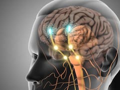 La ciencia asegura que el cerebro humano puede predecir el futuro: todos pueden hacerlo, pero casi nadie lo pone en práctica