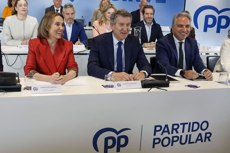 Alberto Núñez Feijóo durante la reunión del Comité Ejecutivo Nacional del Partido Popular(Fuente: EFE / J.P. Gandul)