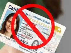 Fin de la licencia de conducir: los inmigrantes que no cumplan este requisito no podrán solicitarla