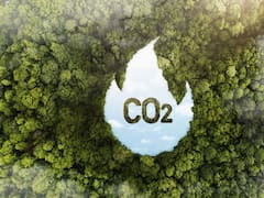 BMV y México CO2 buscan escalar mercado que aún domina demanda extranjera