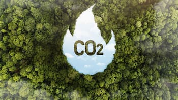 BMV y México CO2 buscan escalar mercado que aún domina demanda extranjera