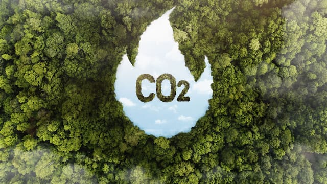 BMV y México CO2 buscan escalar mercado que aún domina demanda extranjera