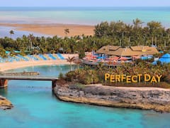 Acciones de línea de cruceros Royal Caribbean se hunden tras rechazo de Semarnat a proyecto en Mahahual