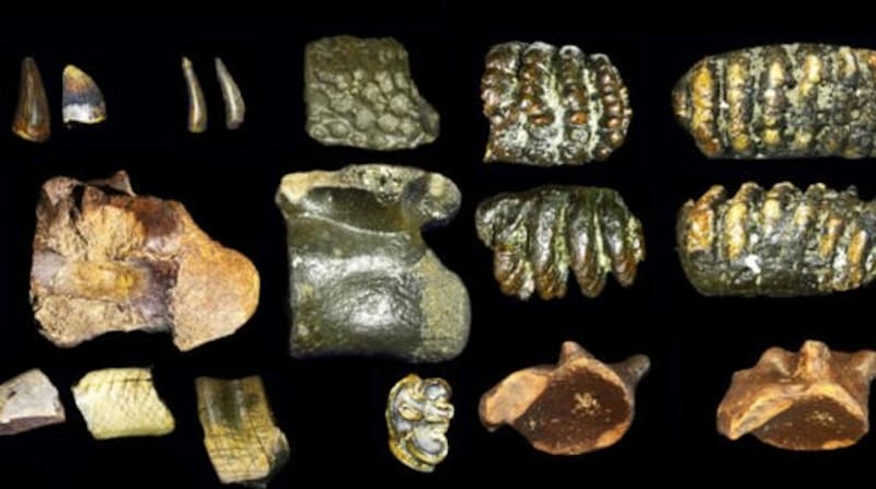 Aunque no era una ciudad en el sentido moderno, este asentamiento prehistórico estuvo habitado por grupos de Homo erectus hace unos 140.000 años (Fuente: 20minutos)