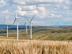 Soplan nuevos aires: Industria eólica prevé 13 nuevos parques con esquema de inversión mixta con el gobierno