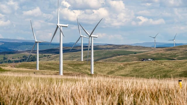 Soplan nuevos aires: Industria eólica prevé 13 nuevos parques con esquema de inversión mixta con el gobierno