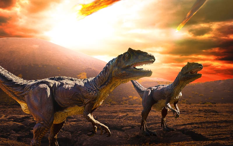 Estados Unidos descubre un fósil de dinosaurio T-Rex hace millones que reescribe la historia. (Fuente: Archivo)