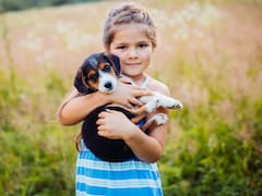 Las personas que interactúan con mascotas podrían presentar menos cortisol y una mejor salud cardiovascular, según estudios