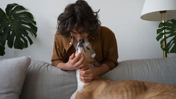 Qué significa acariciar siempre a los perros, según la psicología