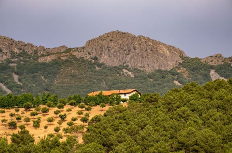 Escapadas: estos son los 5 increíbles destinos en España, según National Geographic. (foto: archivo).