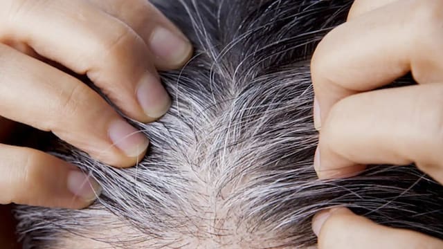 Adiós tintura: el método natural para cubrir las canas hasta la raíz que aporta brillo al instante