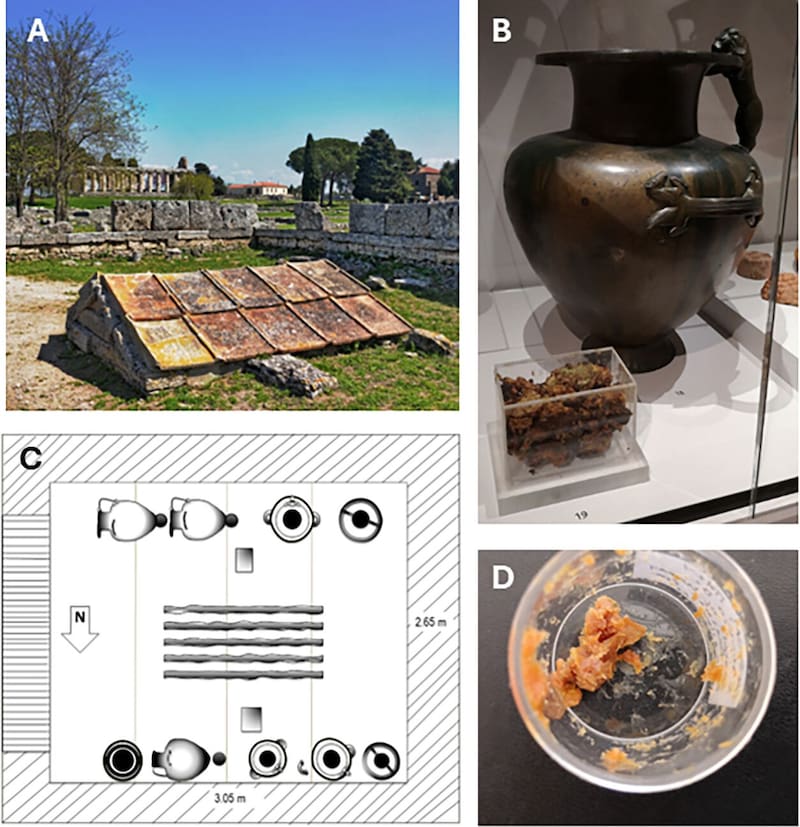 Revelaron el contenido de una antigua vasija griega. (Fuente: Journal of the American Chemical Society).