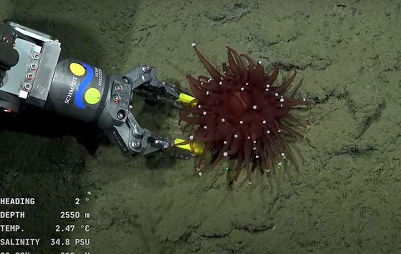 El CONICET vuelve a embarcarse en una nueva campaña científica por aguas argentinas (Fuente: Archivo).