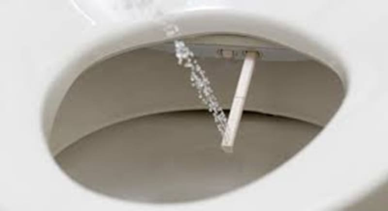 utilizar papel higiénico después de cada uso.
¿Qué son los inodoros inteligentes y cómo funcionan?